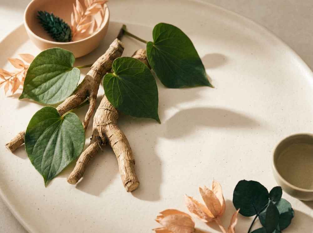 Kava root